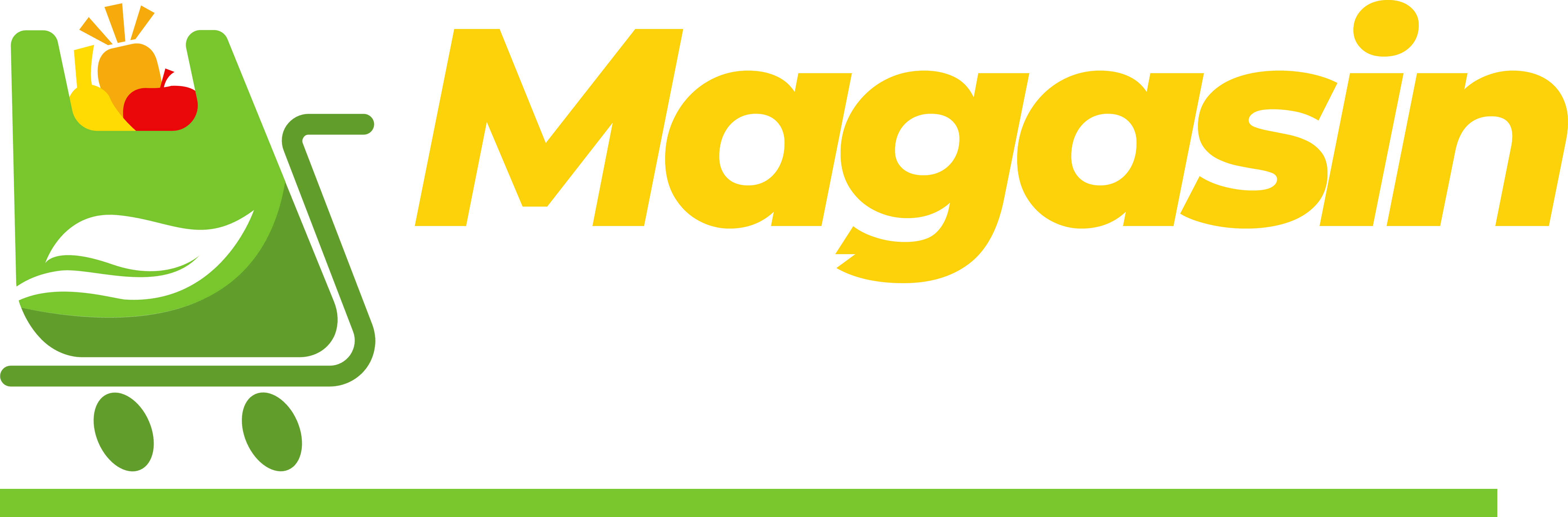 Magasin-general-logo